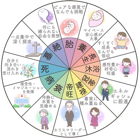 長生十二運|四柱推命の十二運とは？年柱・月柱・時柱とあわせて。